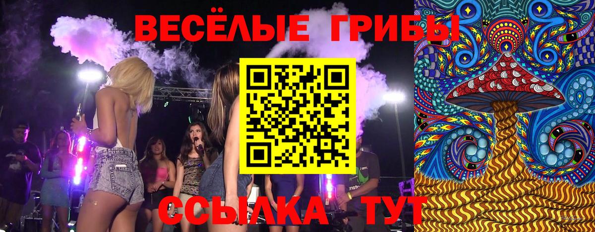 Галлюциногенные грибы GOLDEN TEACHER Обнинск