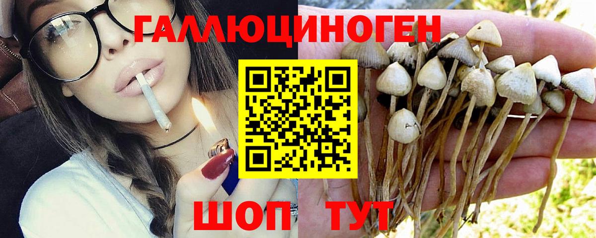Обнинск  Галлюциногенные грибы мухоморы  даркнет сайт  Вход с VPN 